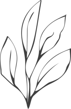 step 4 step 4